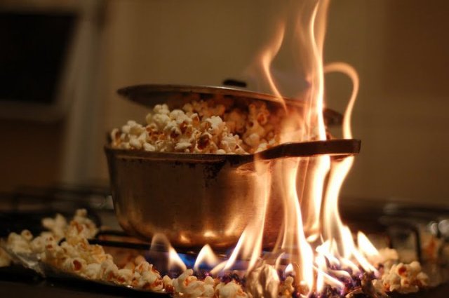 33810_1620775732548_1631083163_1399431_3450793_n